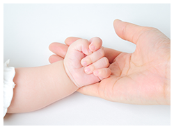 移植前後の施術